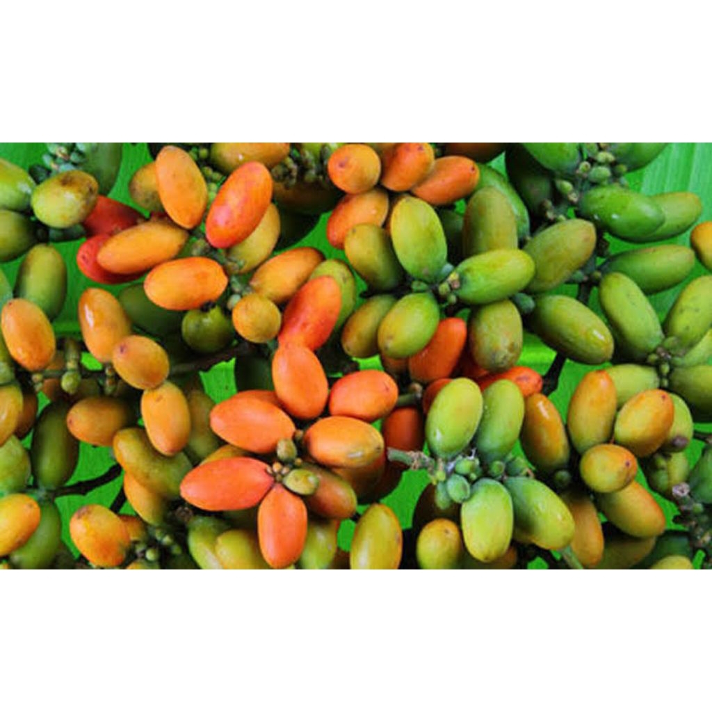 

Melinjo 250 gr (Sayuran Segar)