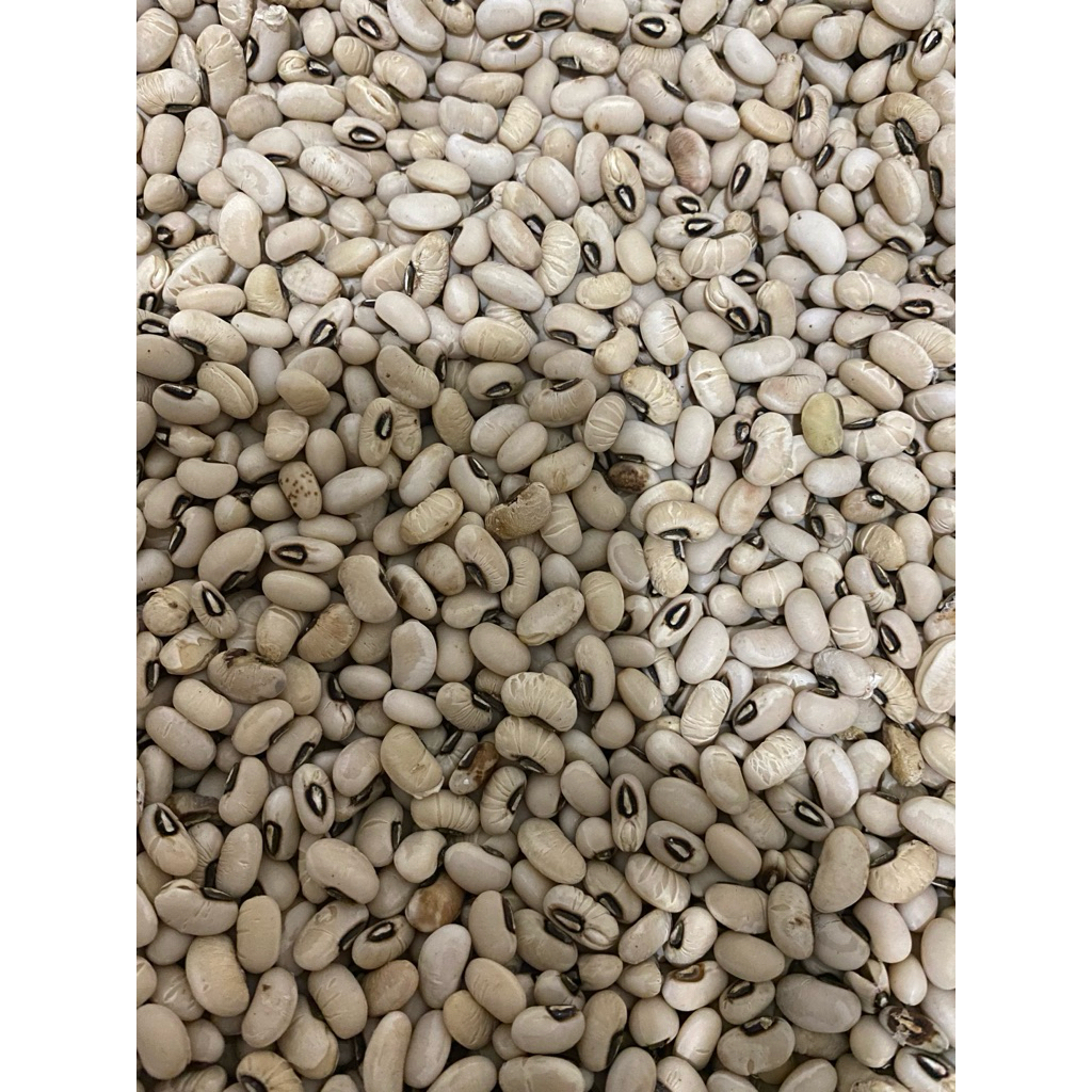 

KACANG TOLO / TUNGGAK 1 KG