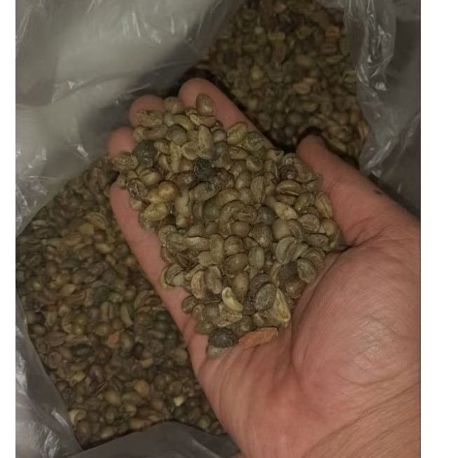 

Kopi Robusta