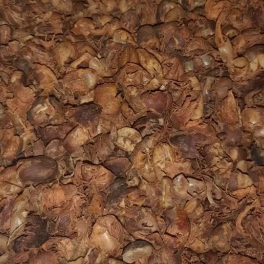 Kulit Kopi - Ternak - Bahan Baku Pakan Ternak