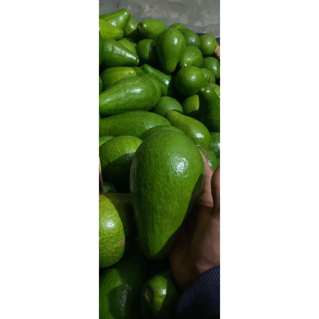 

alpukad Mentega Pulen Gisting Lampung 1 Kg isi 4-7