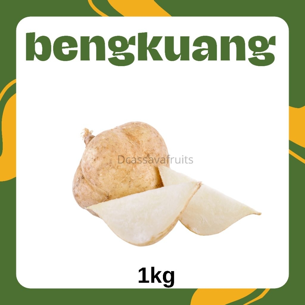 

Buah Bengkoang jumbo 1KG