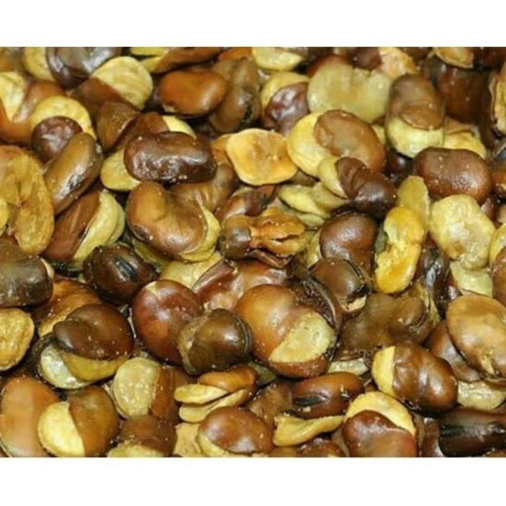 

kacang koro kulit