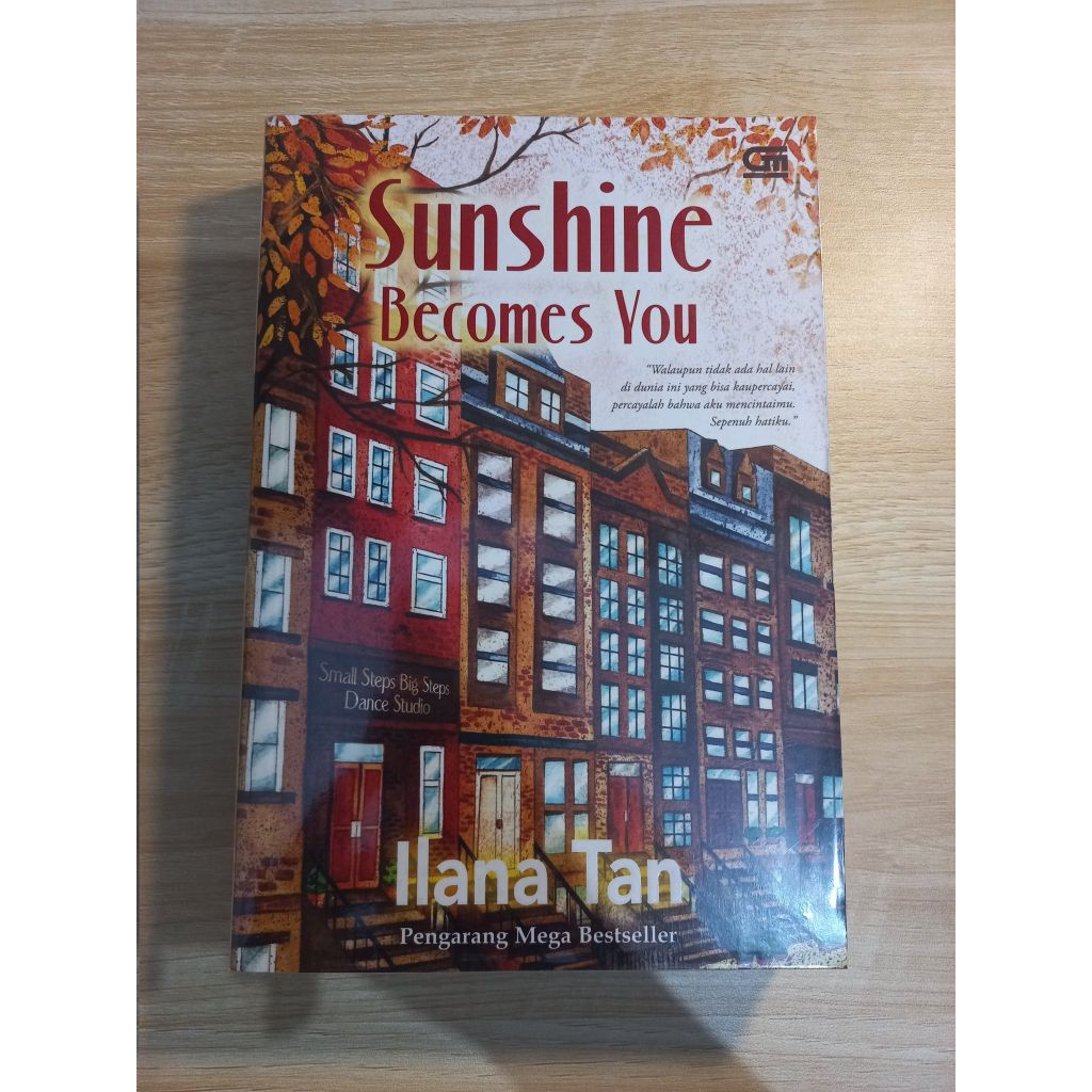 Preloved Sunshine Becomes You by Ilana Tan