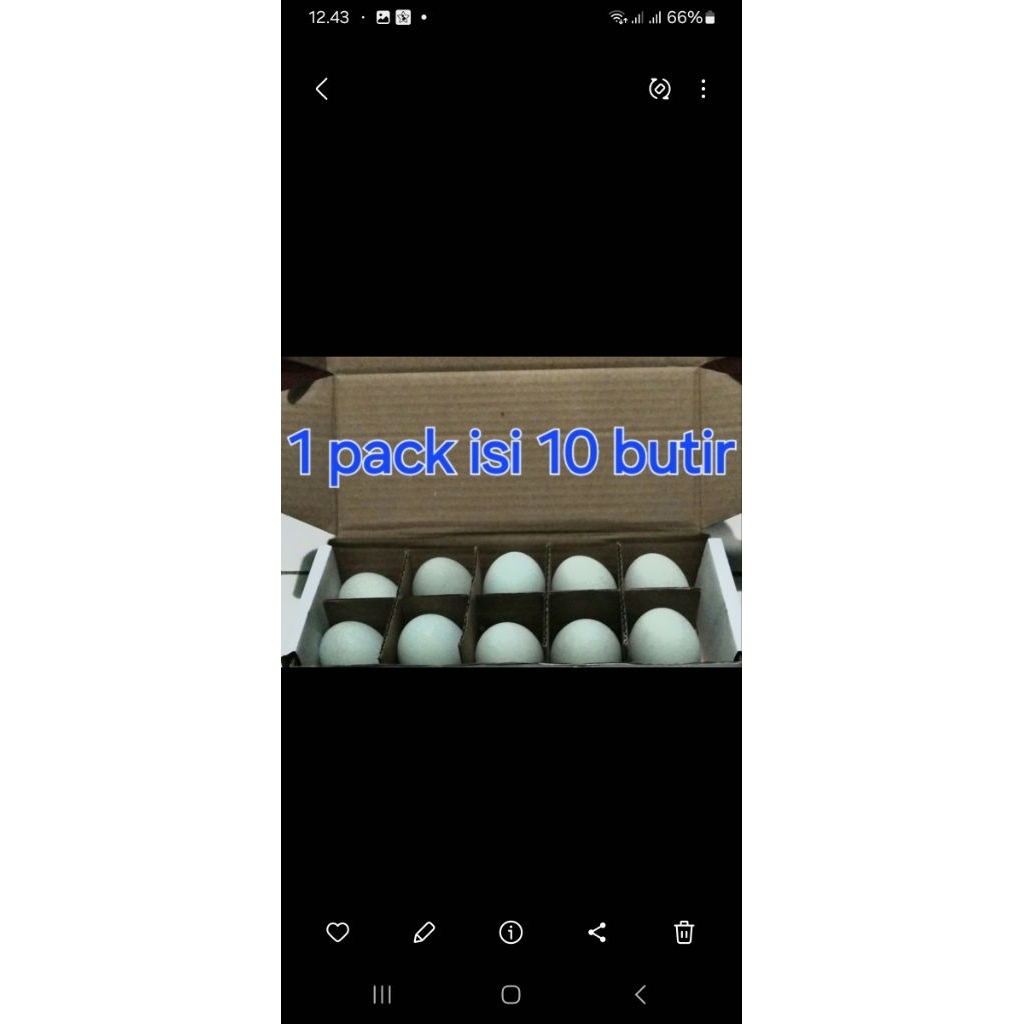 

Telor asin super khas Brebes bermasir (1 pack) isi 10 butir