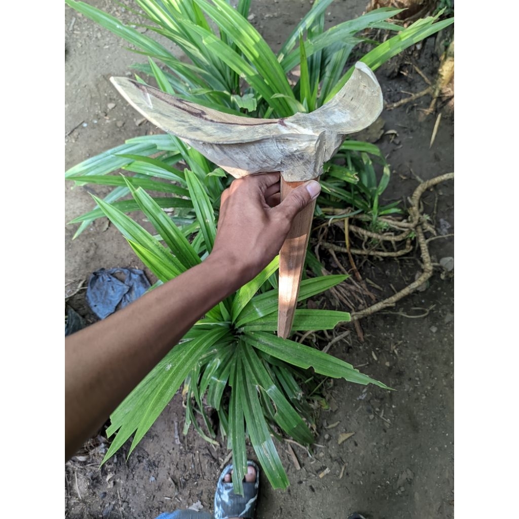 Branggah jogja Kayu Asem