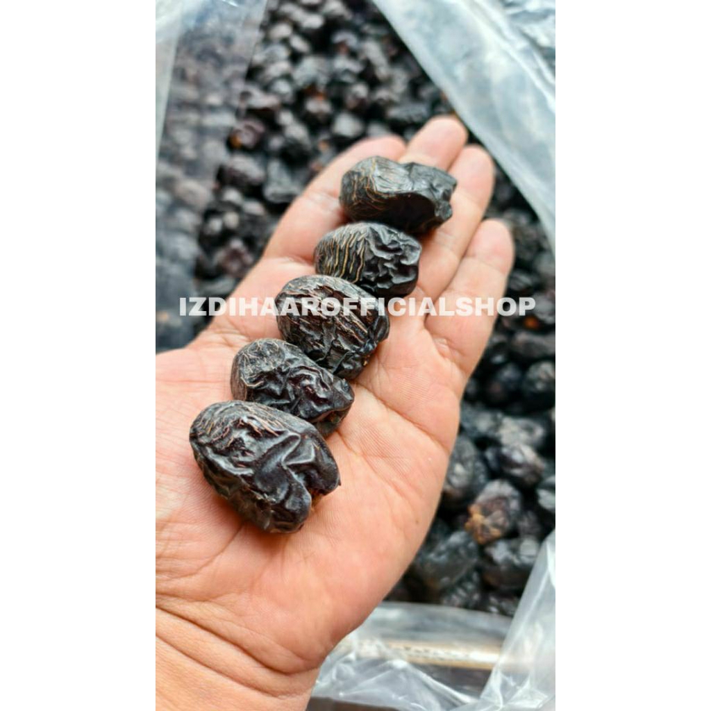 

KURMA AJWA | KURMA NABI | KURMA AJWA EMPUK | KURMA OBAT | KURMA AJWA OLEH OLEH HAJI DAN UMROH | AJWA.