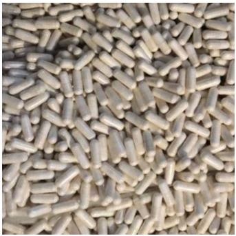 PRO ALBUMIN - 1 KAPSUL Ekstrak Ikan Gabus / Kutuk Vitamin Penambah Nafsu Makan Kucing & Penyembuh Lu