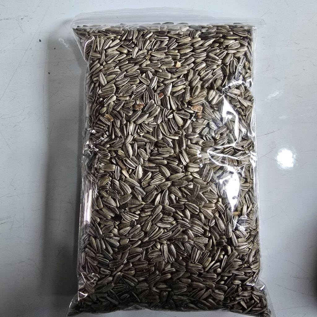 kuaci Hitam 1kg // makanan burung