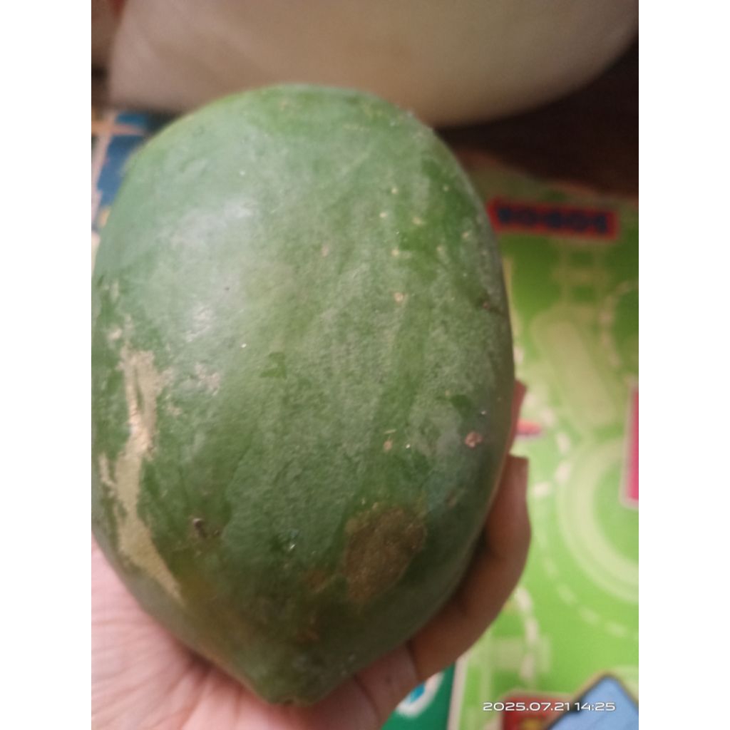 

buah pepaya sayur segar 1 pcs