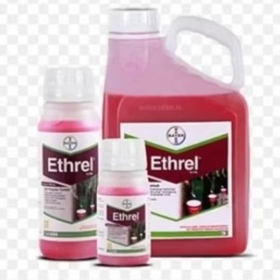 pengatur Tumbuhan Tanama Karet Ethrel ZPT Ethrel 10PA 5Liter