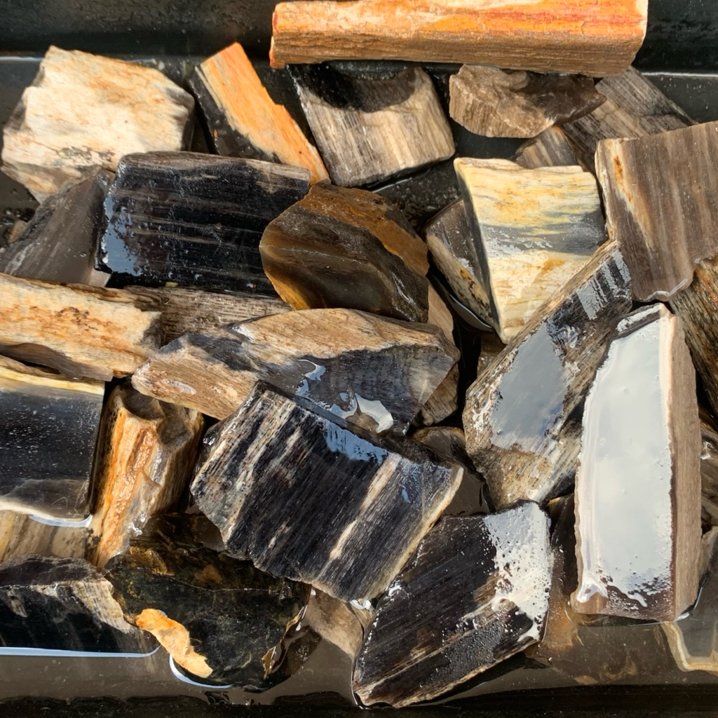 Bahan Galih Kelor Kristal Super Natural / Bongkahan Posil Galih Kelor Kristal Tembus senter / Batu G