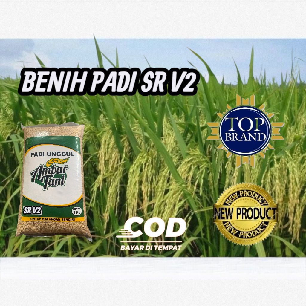 Bibit benih padi SR V2 kemasan 5kg