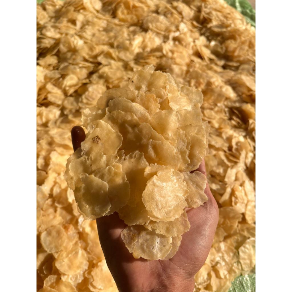 

Emping melinjo ukuran 1&2 biji berat 1kg full kering has serang banten