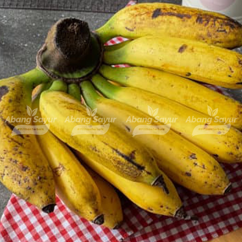 

Pisang Bangkawulu Premium 1kg – Uli / Lilin Instant Bandung - Lembut, Manis, Harum Alami – Rare Item