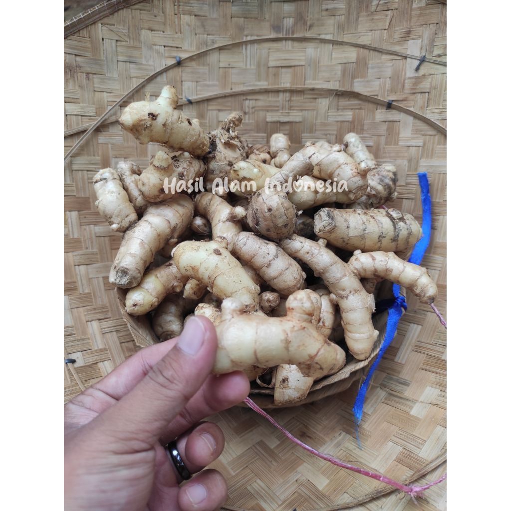 

kunyit putih 1kg kunyit putihsegar /tmuputih segar brkualits/obatobata kesehatan