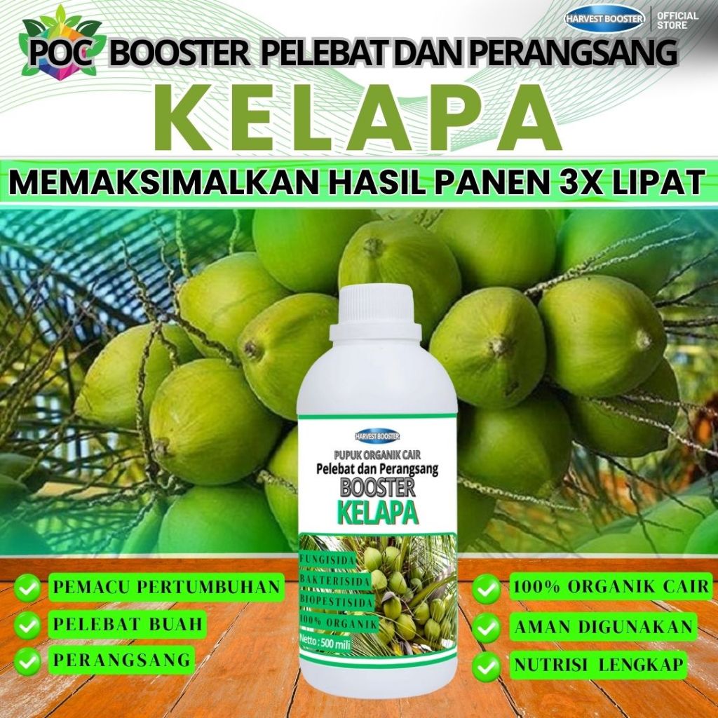 POC PUPUK BOOSTER KELAPA, Pupuk Buah Kelapa, POC Booster Kelapa, Pupuk POC Kelapa, Booster Kelapa