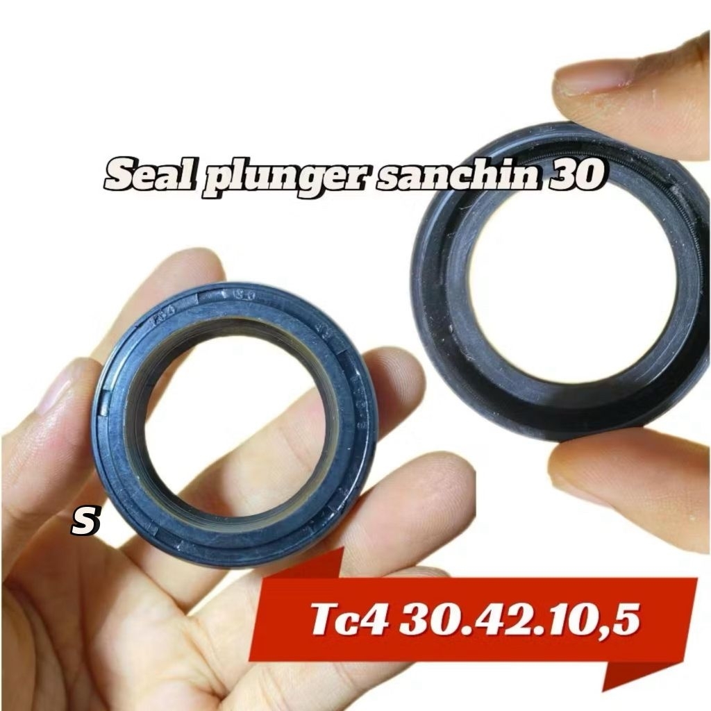 Seal Plunger Sanchin 30