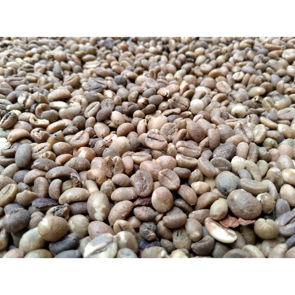 

Termurah!!!!!! kopi robusta GreenBeans Petikmerah-Natural Proses berat 1kg