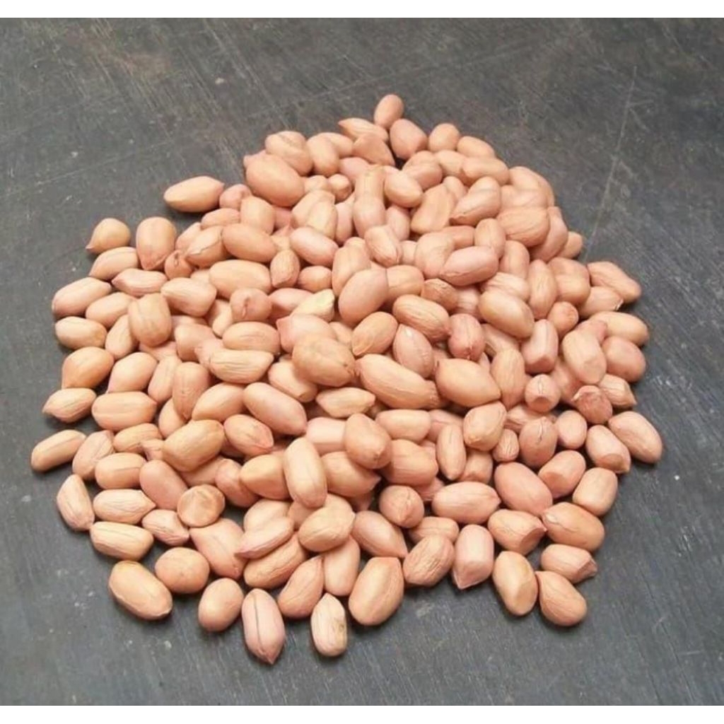 

kacang tanah asli tuban 1 kg