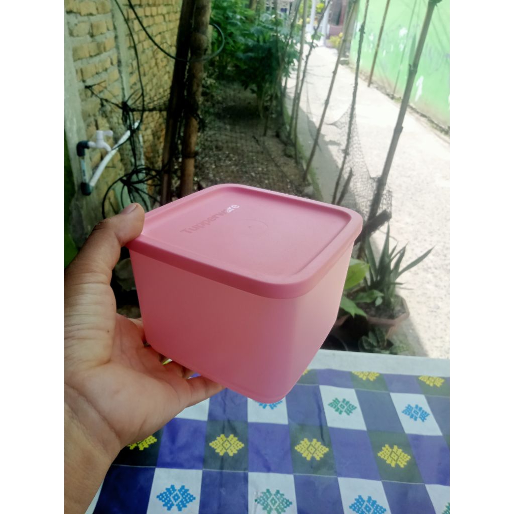 Toples Medium summer tupperware