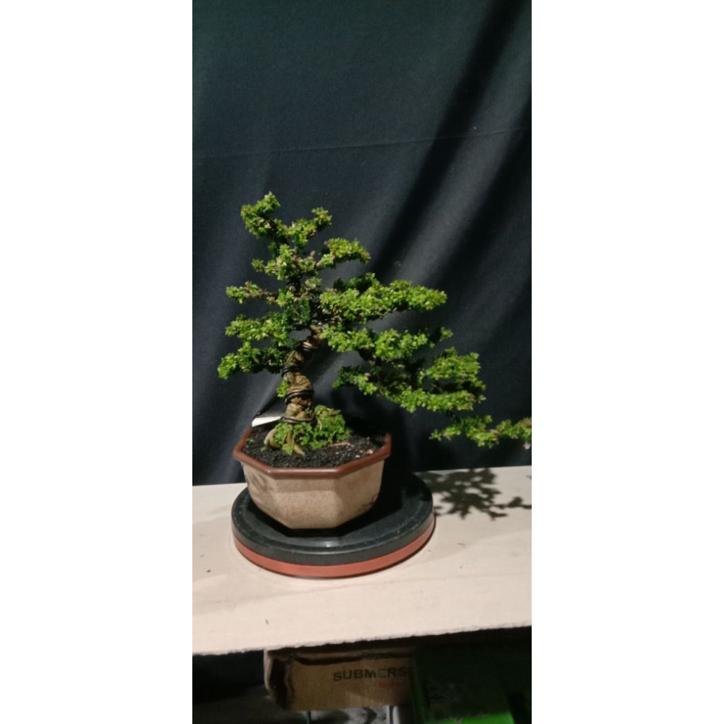 Saeng Simbur mikro Thailand