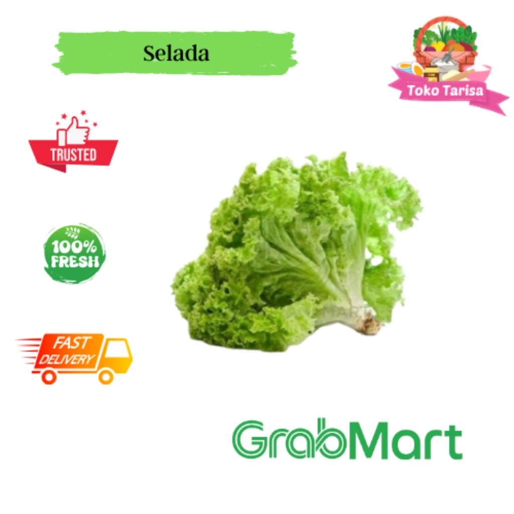 

Selada Keriting 1kg| 500gr| 250gr