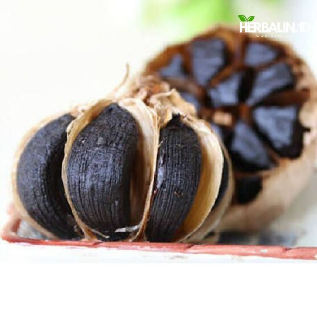 

BlackGarlic/BawangHitam/Bawangpermentasi