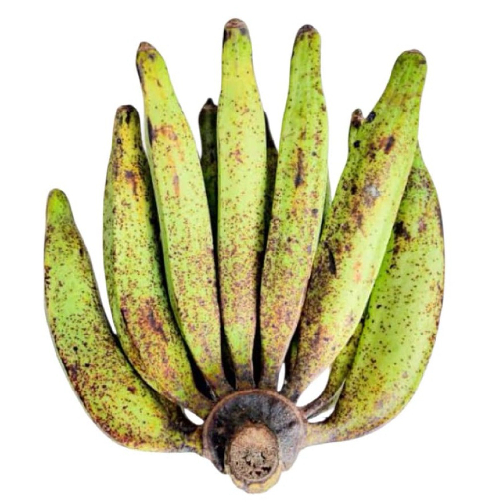 

Pisang tanduk/galek variasi 1-5 KG