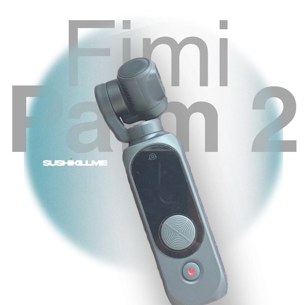 FIMI PALM 2 (SECOND)