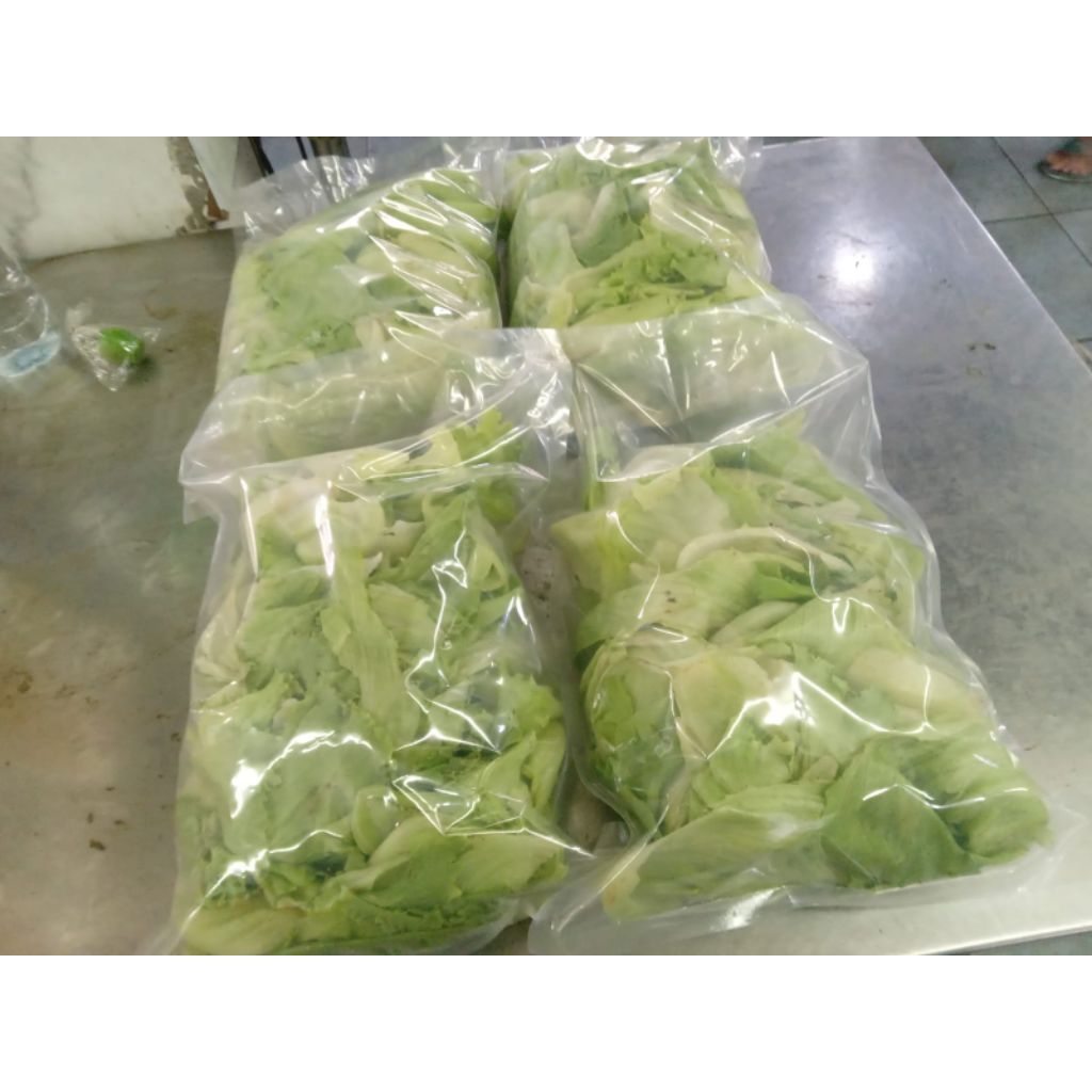 

Lettuce Rajang / Iris 1 kg (pack)