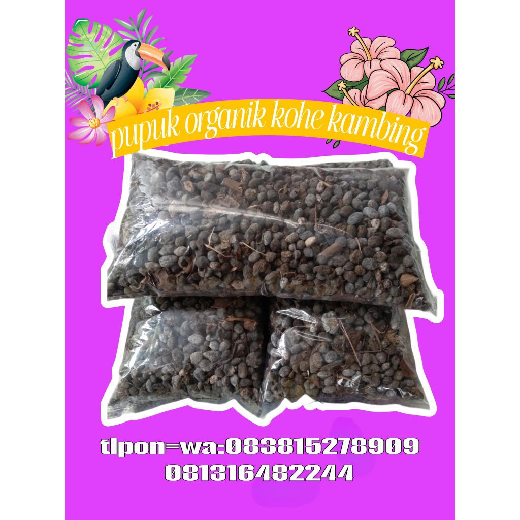 pupuk kandang kambing