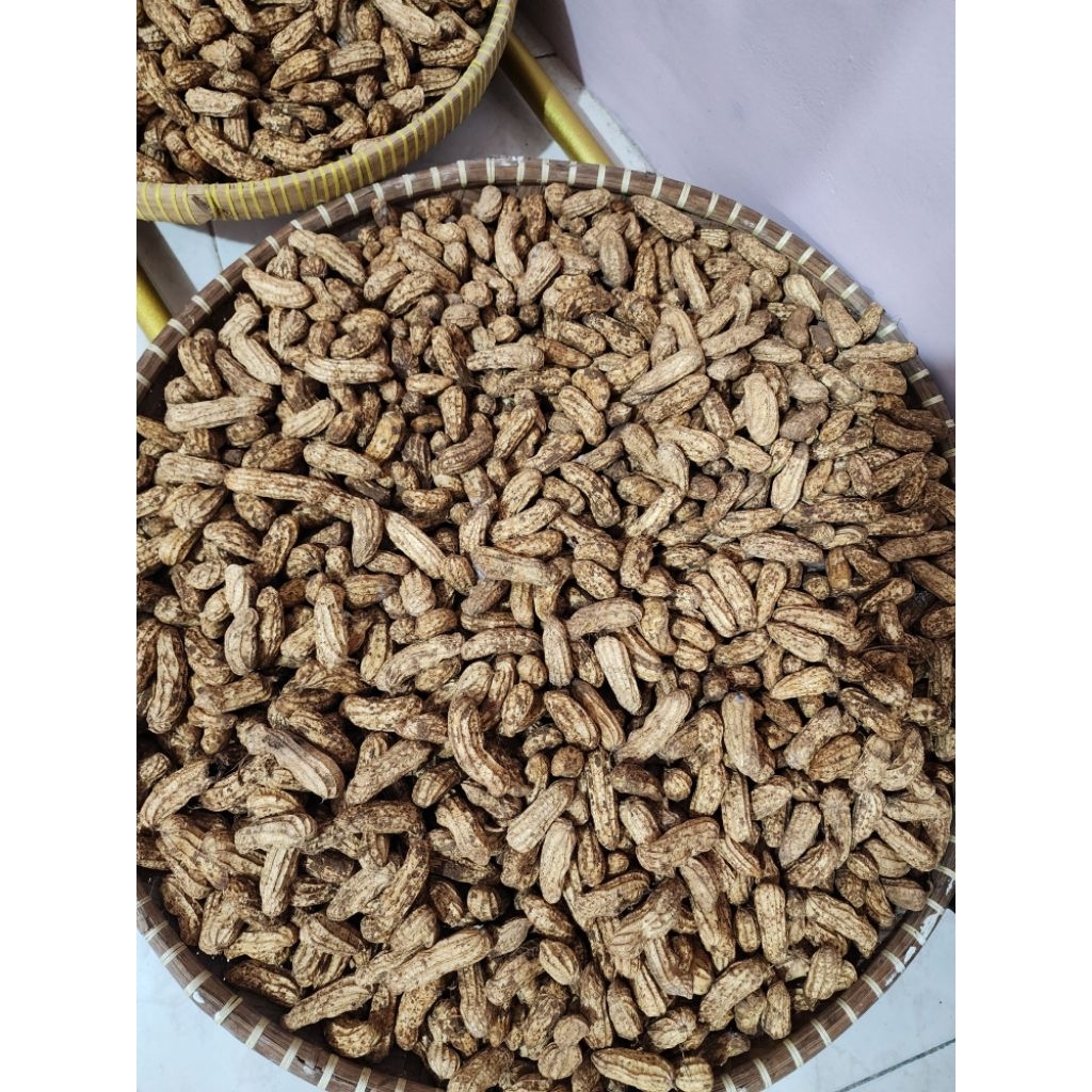 

Kacang Tanah Mentah Fresh Bandung