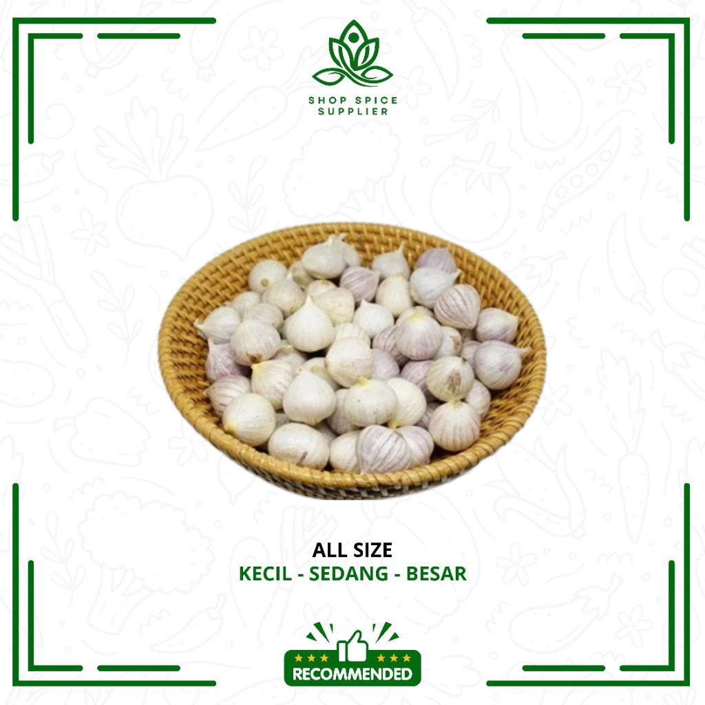 

Bawang putih tunggal super | Bawang putih lanang | Bawang tunggal lanang | Pilihan herbal Super Alami - Spiceshop