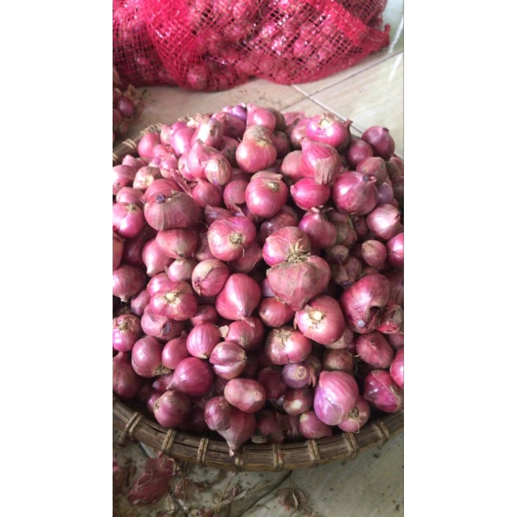 

BAWANG MERAH MURAH 1KG,500 G, 250 G