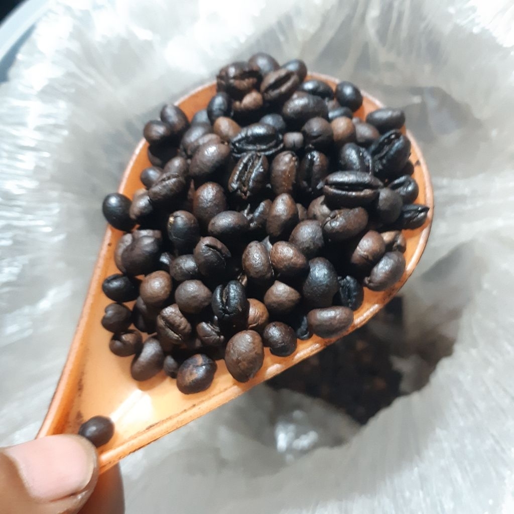 

100g kopine Masandre Malang