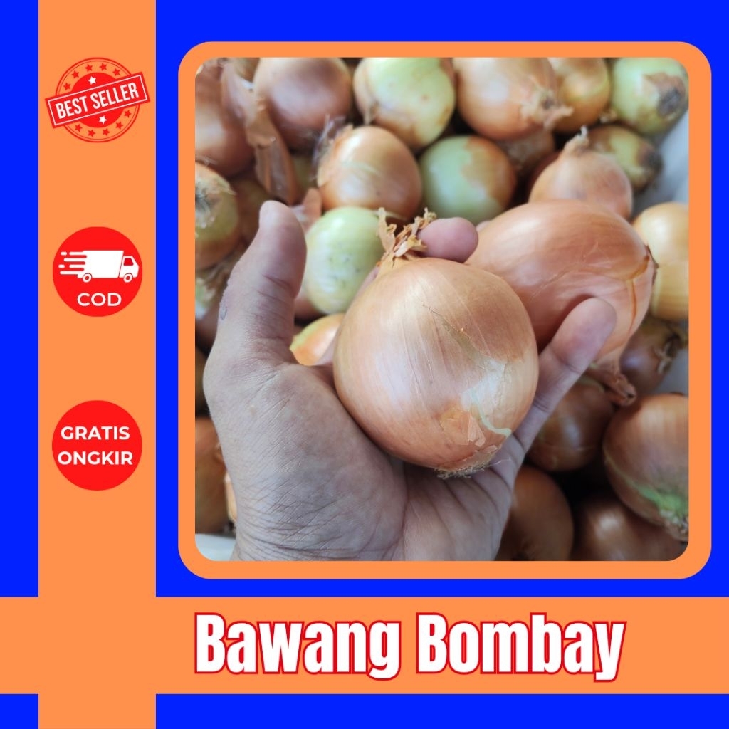 

Bawang Bombai Segar Fresh 250g-1kg, Langsung dari Petani