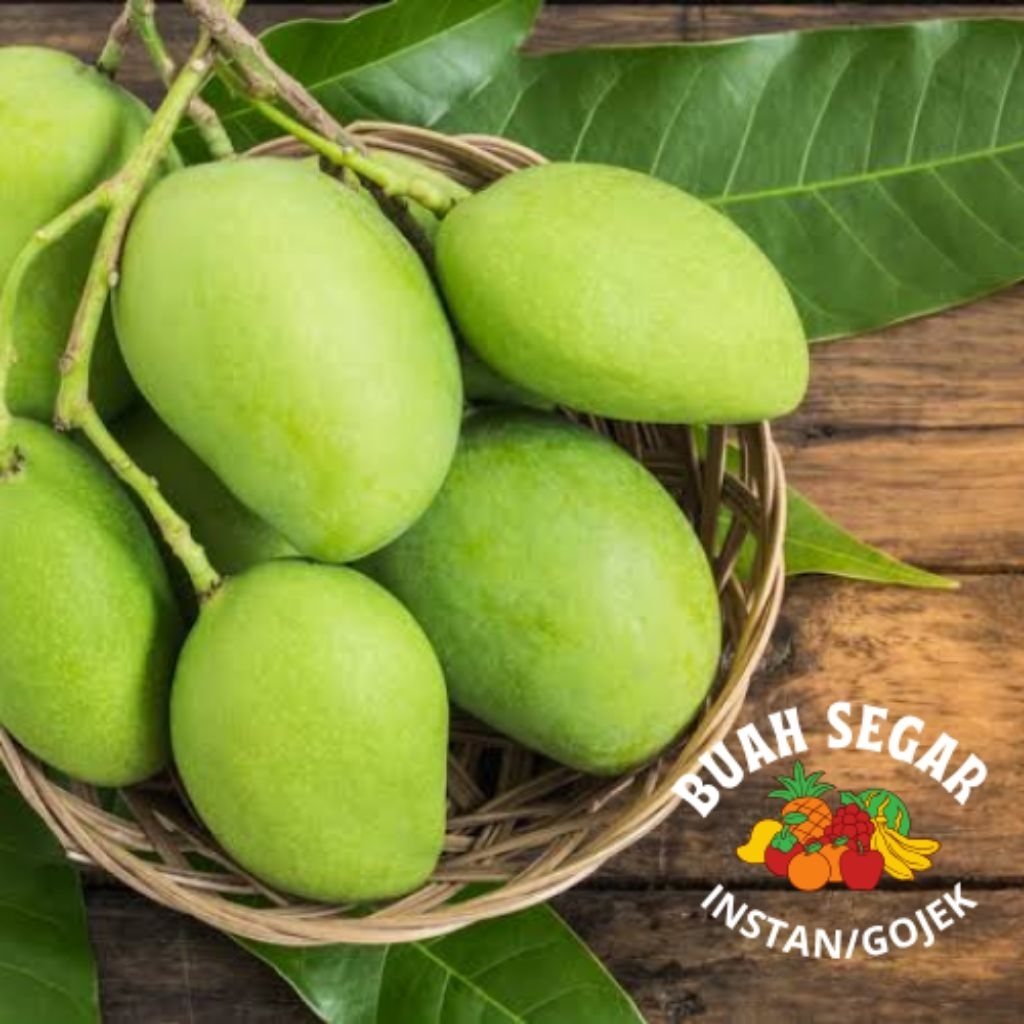 

500gr MANGGA MUDA Mangga rujak fresh segar