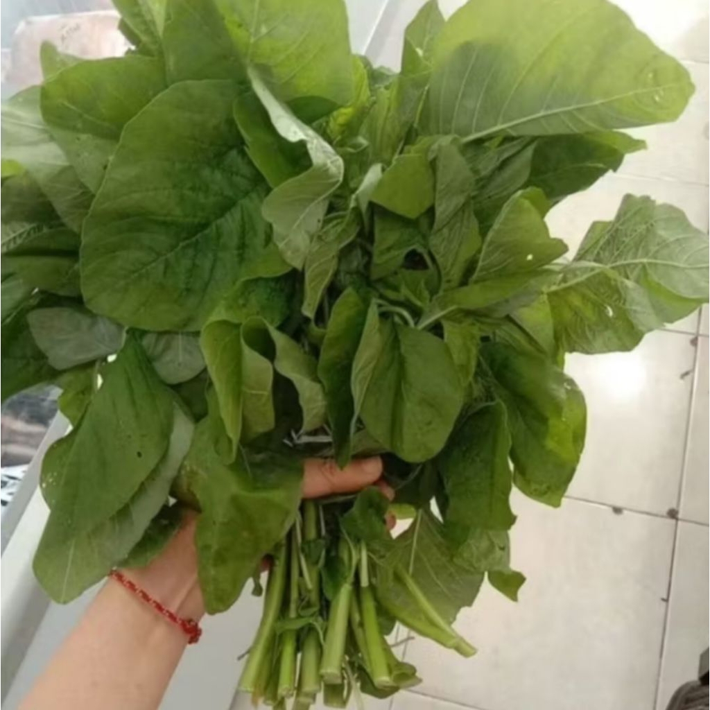 

sayur bayam potong 1 ikat segar bppn