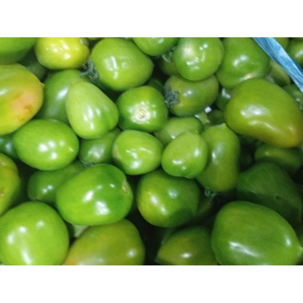 

SAYUR TOMAT IJO HIJAU SEGAR