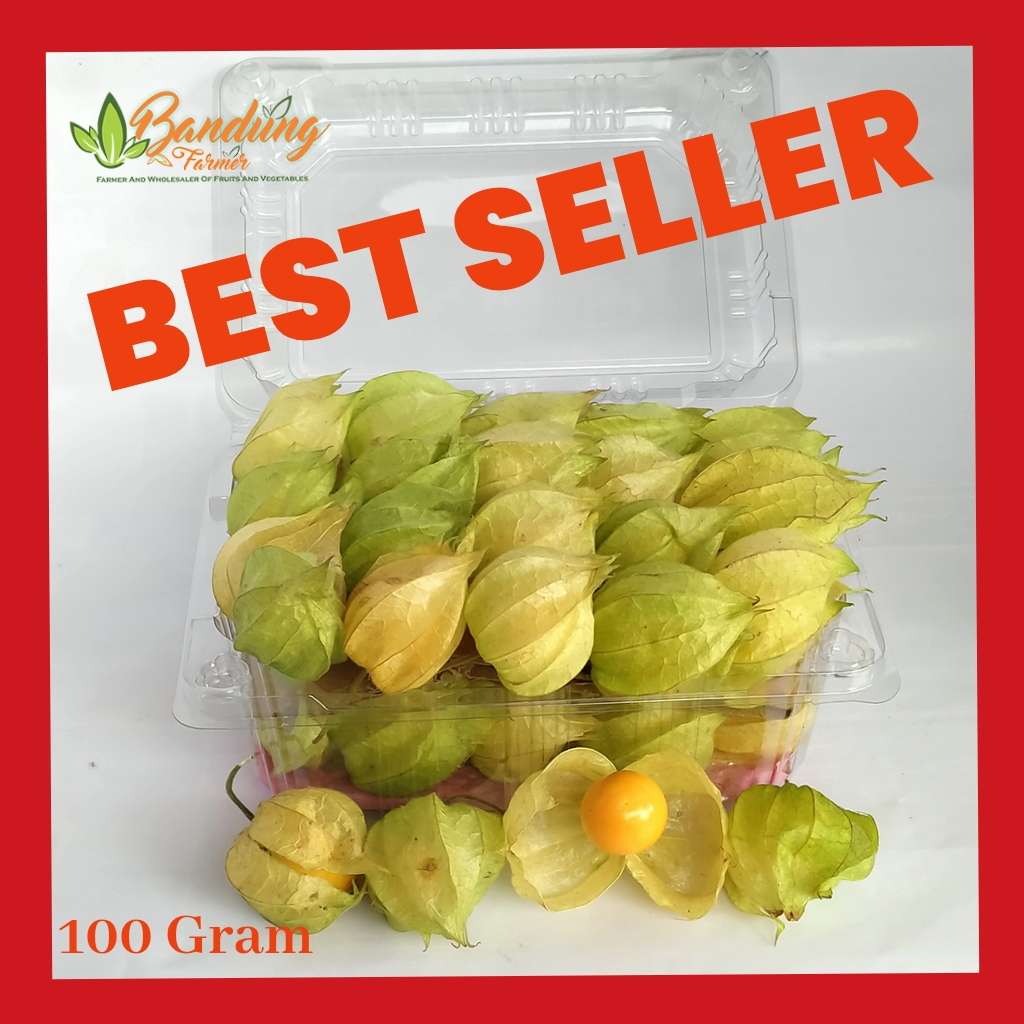 

Jual Buah Ciplukan Murah 100gram / 1ons -Cecenet - Golden berry From Bandung