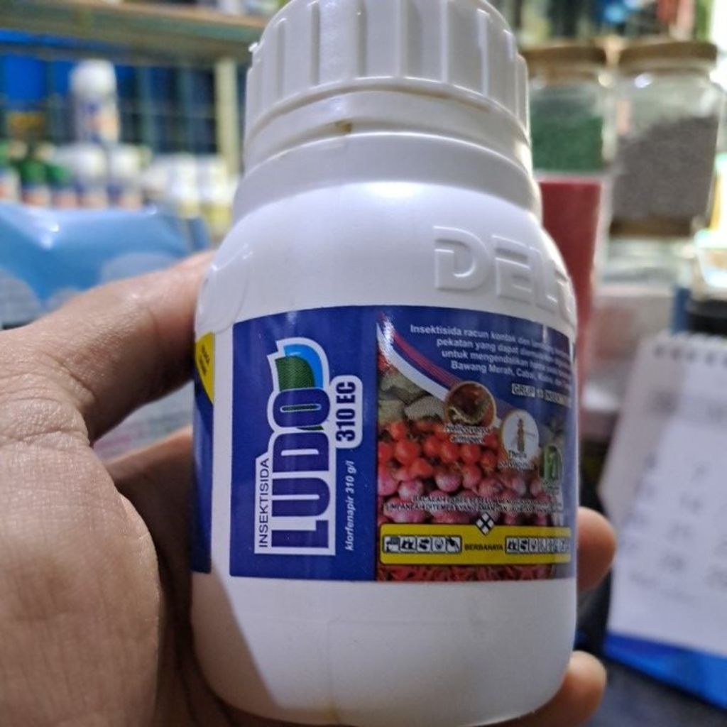 Insektisida Ludo 310EC 100ml