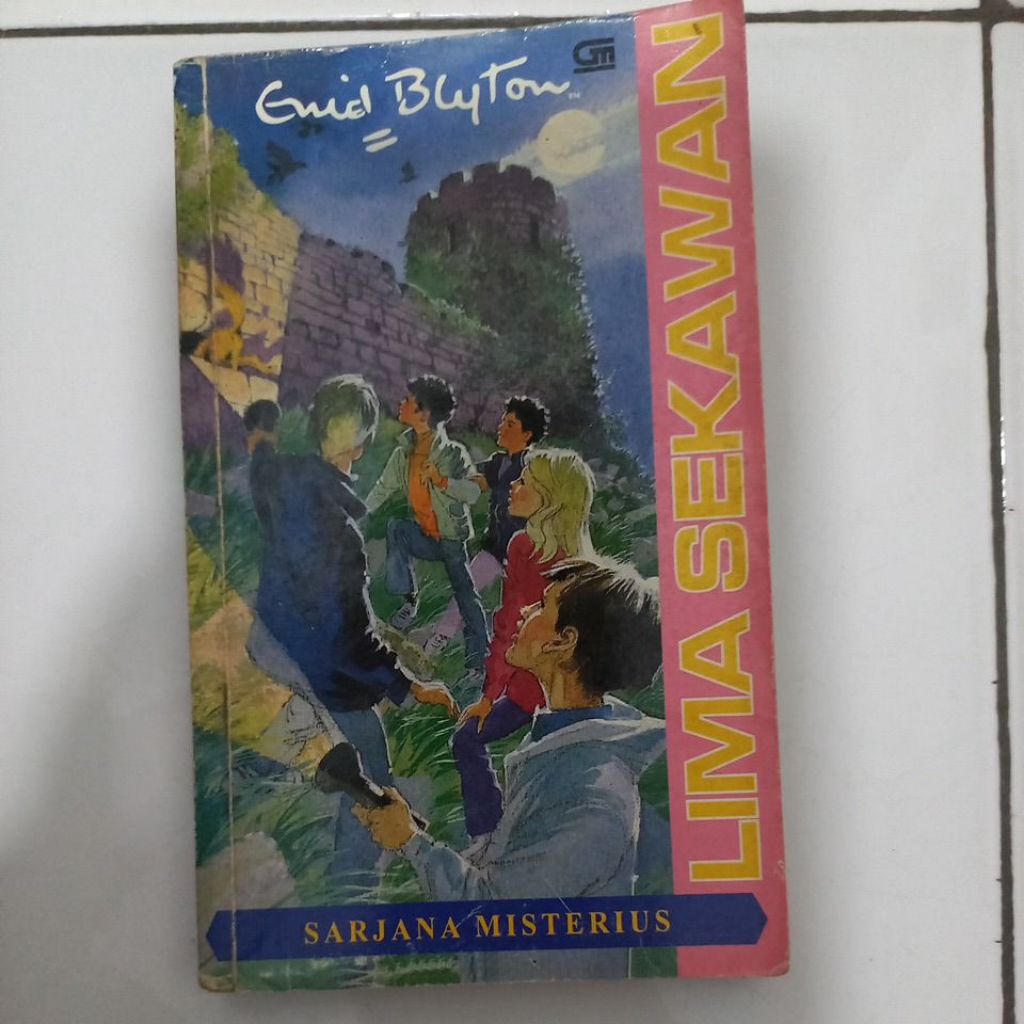 Novel Lima Sekawan Sarjana Misterius
