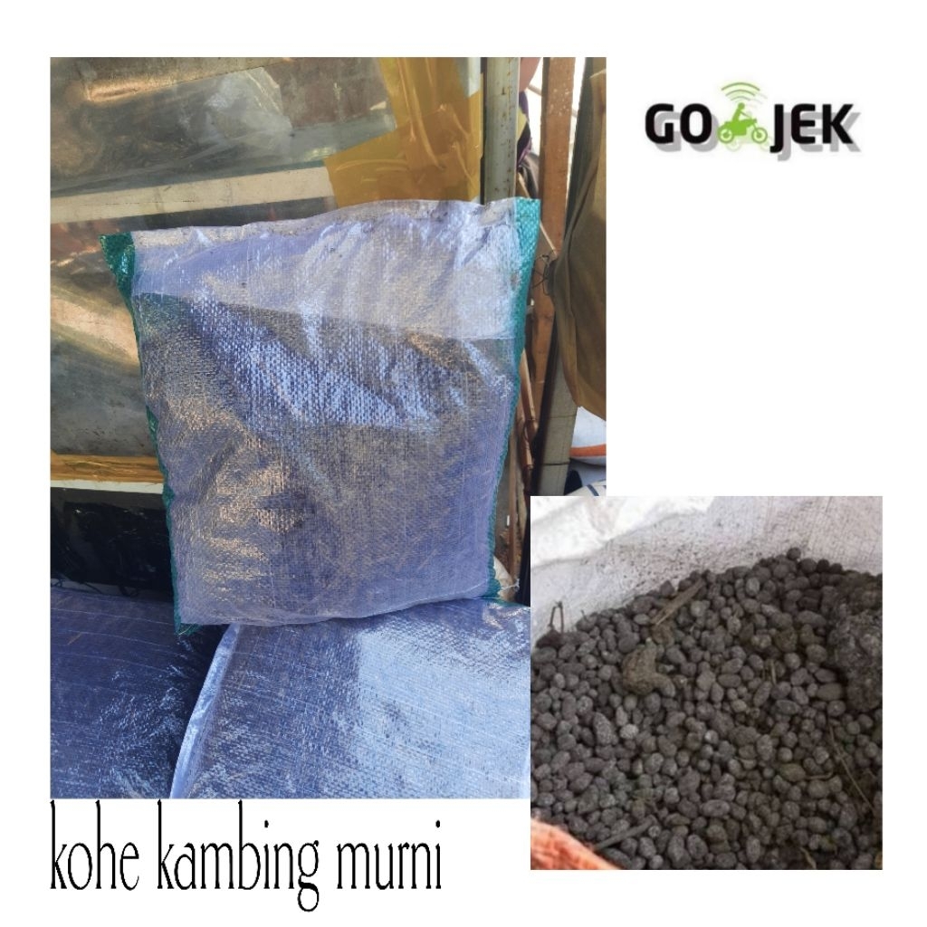 pupuk kandang kambing murni