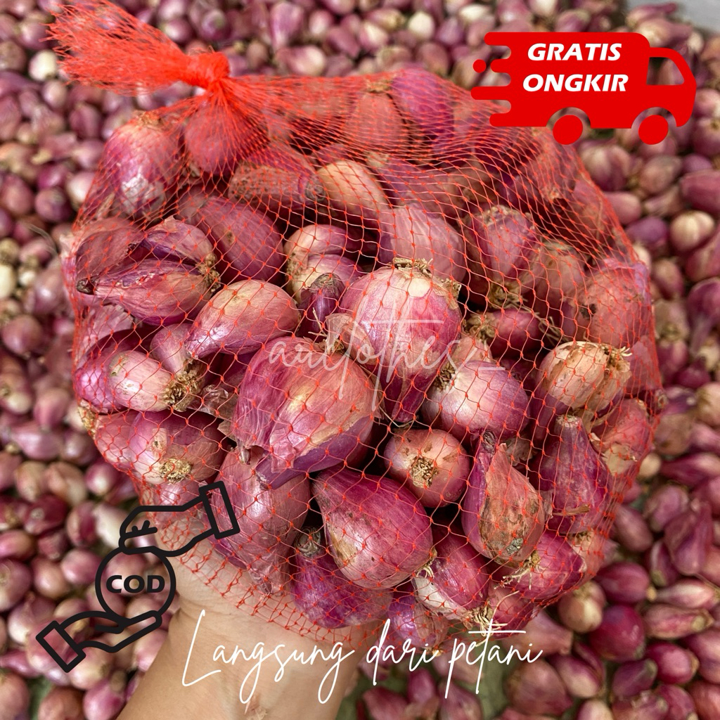 

bawang merah kering besar campur tanggung langsung dari petani