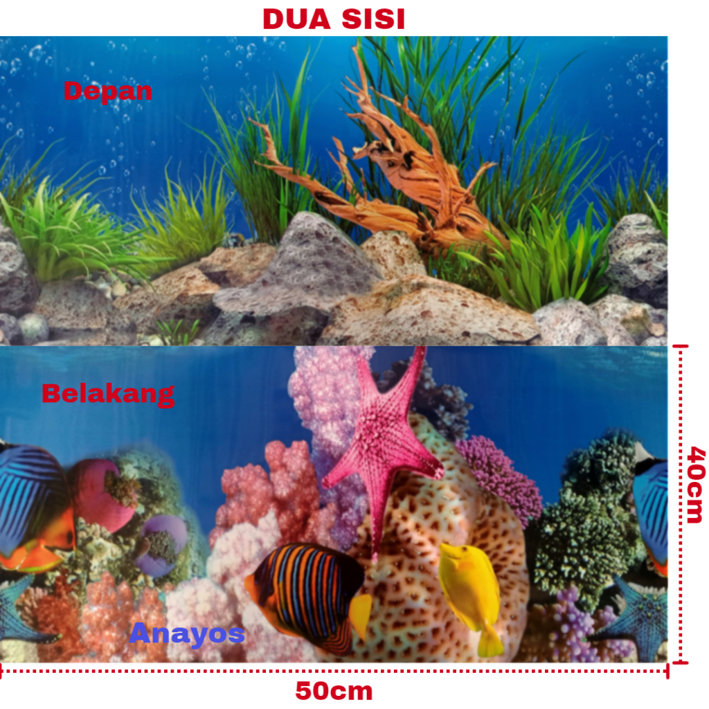 Wallpaper Background Aquarium Tinggi 40 Cm Panjang 50 Cm Motif 01