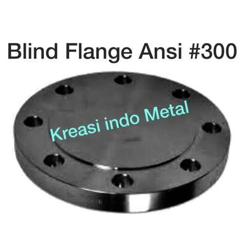 14" Flange Blind /Buta ansi 300 carbon steel /CS A105 -DN350 DN 350