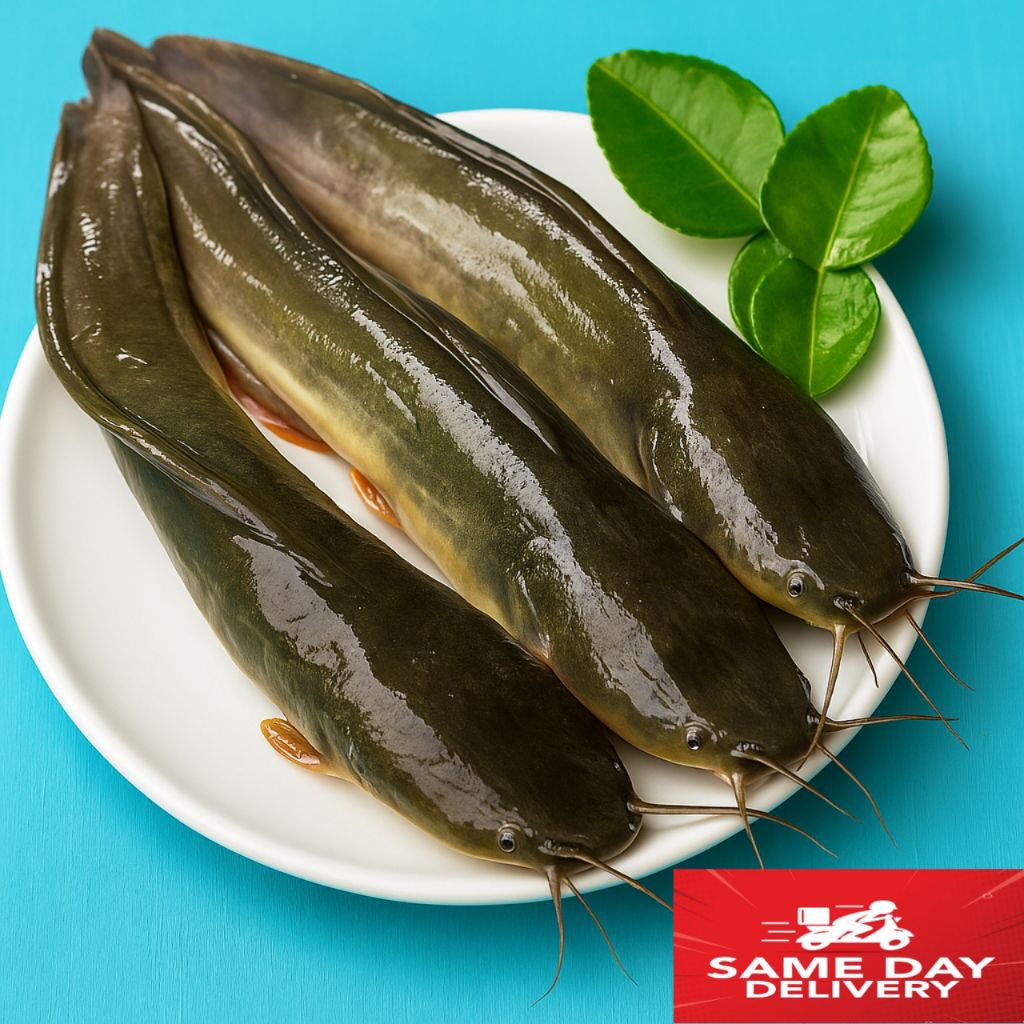 

Ikan Lele Segar 1 Kg