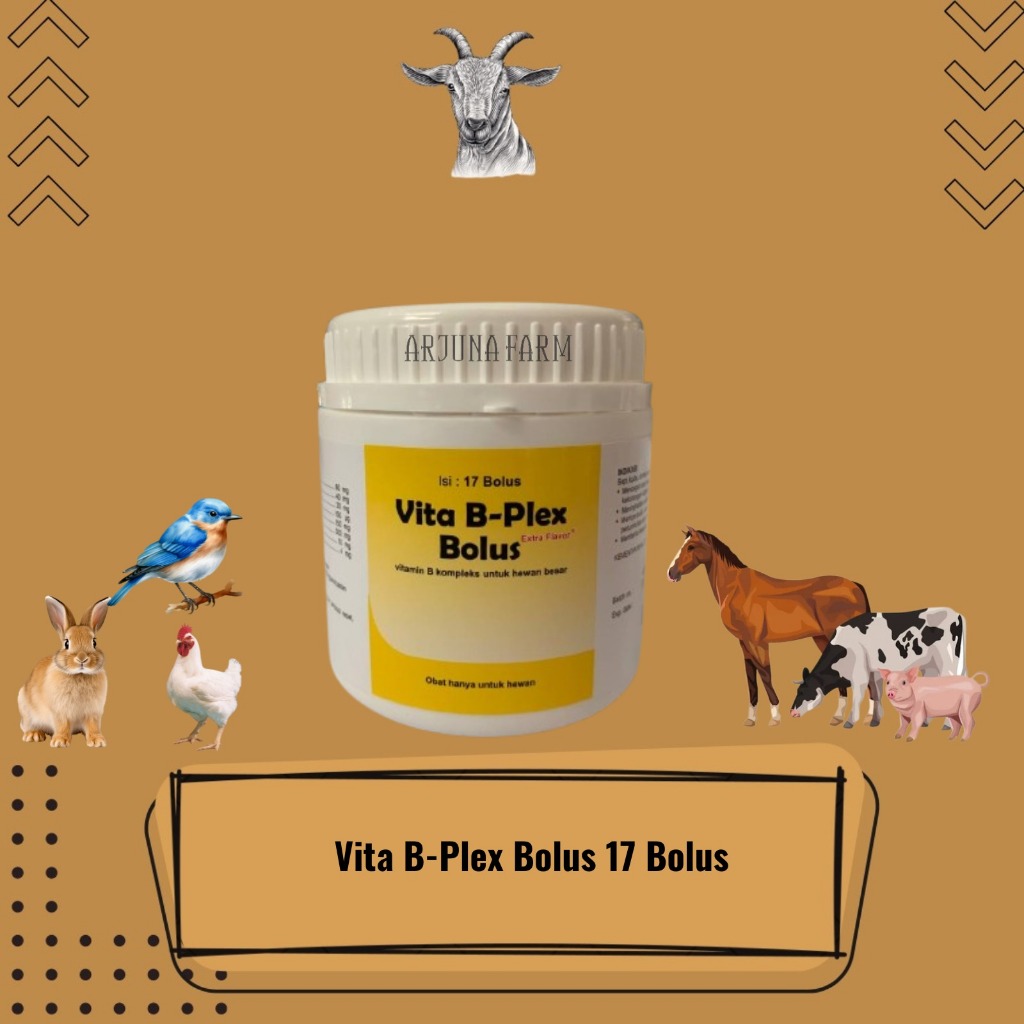 Vita B Plex 1 Pot 17 Bolus Medion Vitamin B Complex Bolus Untuk Ternak Sapi Kambing Domba