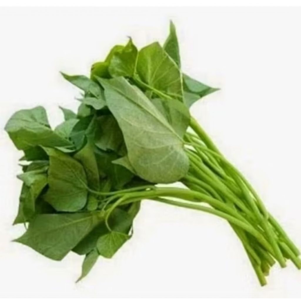 

Daun ubi jalar per pcs/ikat